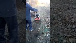 Купили мотоплуг