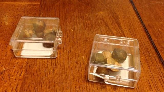 jumping beans смотреть онлайн