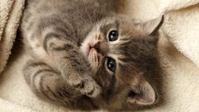 Музыка Европа Плюс. Настоящий хит! Рекомендую посмот... смотреть онлайн