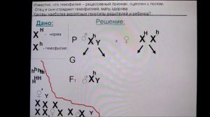 Сцепленное с полом наследование признаков