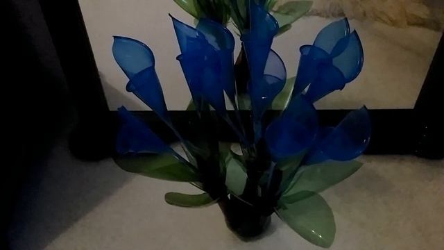 Анонс  Цветы из пластиковых бутылок и стаканчиков.