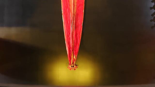 У Цзэтянь - единственная женщина-император Китая смотреть онлайн