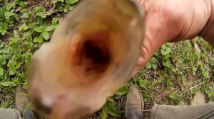 Рыбалка Судак повадки