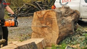 STIHL MS 881 vs MS 880 | The Worlds Most Powerful Chainsaws!