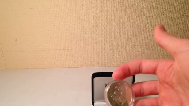 Обзор Монеты