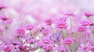 Счастье, трансформация и Божественная любовь (Центр "Даария")