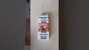 понос  у котенка.