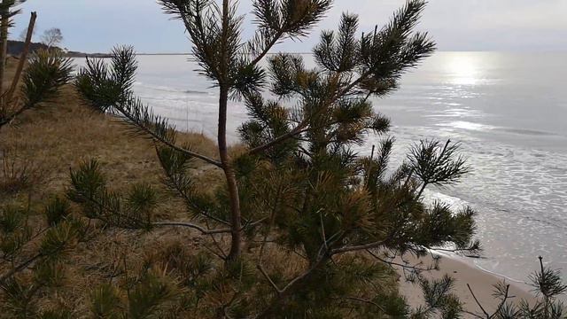 ПЛОХОЕ МЕСТО | обрушился берег | СЛИШКОМ МНОГО ЕДИМ | серия 538 Черновы ТВ смотреть онлайн