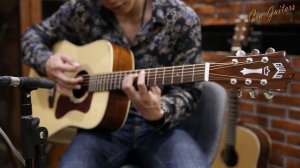 Guild D-140  Sitka Spruce / Solid Mahogany