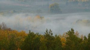 утро 6 50 восход солнца вид с высоты. город уфа 14 09 2023 туман над рекой и лесом