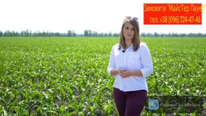 Гербицид для кукурузы "МайсТер Пауер" от ТОВ "Агробаланс"