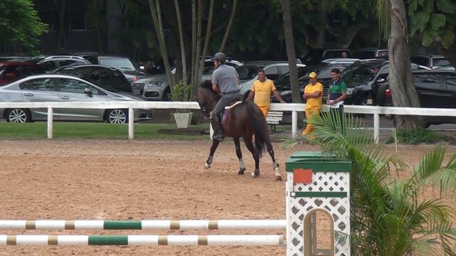 hercules gadelha quisar prova interna shb 21 03 2015 смотреть онлайн