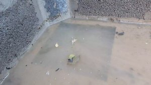 Видео для тех кому делать нехрен.  Как уходит вода из приямка в бассейне.