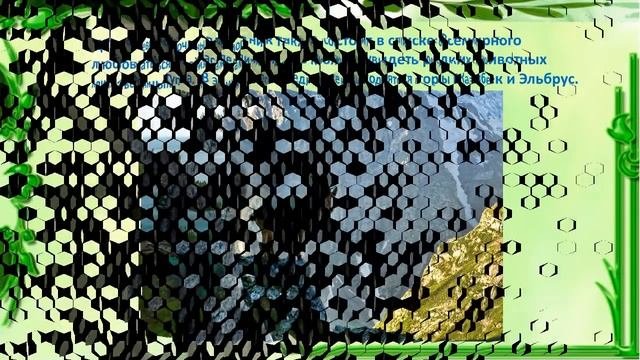 Заповедники и национальные парки России