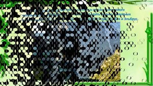 Заповедники и национальные парки России