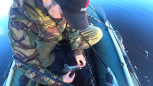 Ловля СУДАКА на ДЖИГ | Рыбалка на Осиповичском водохранилище
