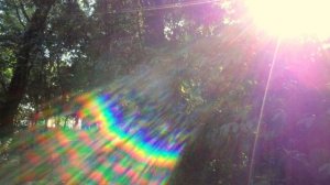 Вы никогда не бываете одни.