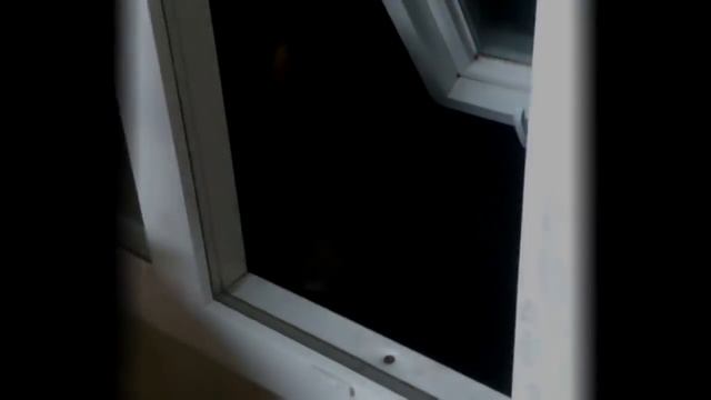 7 МОНСТРОВ ЗА ОКНОМ, СНЯТЫХ НА КАМЕРУ