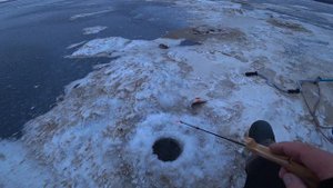 МОЙ Коллега Ловил ОКУНЯ на БОМБУ 💣 Я на БАЛАНСИР