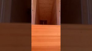 Каркасный дом с мансардой 8х6 метров
