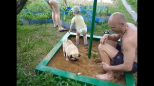 Песочница для всех