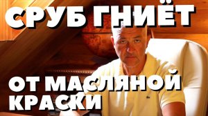 ТАК СРУБ ТОЧНО ТРЕСНЕТ! Можно ли красить дерево масляной краской. Лак для сруба. Покраска сруба