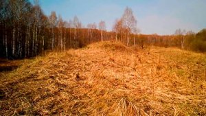 Поездка на заброшенную железную дорогу Угра Екимцево Часть 2