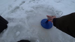 ЩУКИ МЕНЯ ЖДАЛИ! ФЛАГИ ВСТАЮТ ДРУГ за ДРУГОМ! ЗИМНЯЯ РЫБАЛКА на ЖЕРЛИЦЫ.