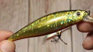 Копия JACKALL SQUAD MINNOW 95 SP и 65 SP с AliExpress | Полный обзор новинок 2020 от BearKing + Игр