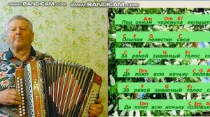 Учим на гармони. Под окном черемуха колышется