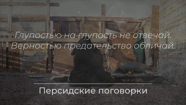Самые Сильные Цитаты Персидских Мудрецов, Меняющие Жизнь