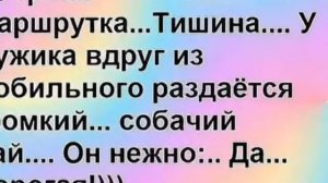 Самые смешные картинки с надписями! Видеоприколы