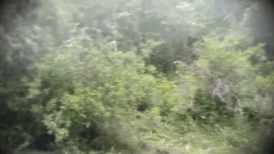 НАЙДЕН ЙЕТТИ В ГОРАХ КЫРГЫЗСТАНА