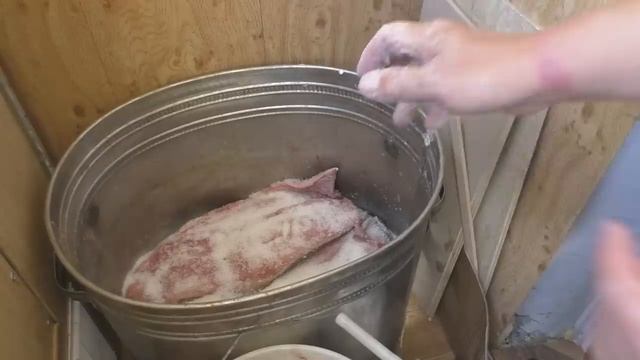 Лосось, кета, засолка сухим посолом на долгое  хранение, рецепты из рыбы от fisherman dv.27rus