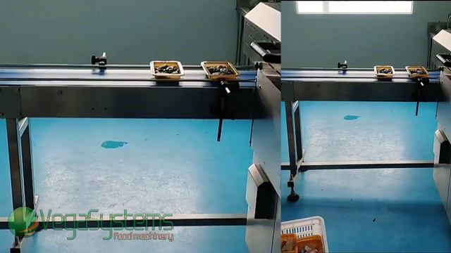 Линия по упаковке готовой еды - Vega Ready Food Packaging lines H2000 | Производственные линии