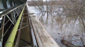 Уникальное явление залило мост через реку Клязьма до бетонной набережной и граффити на опоре