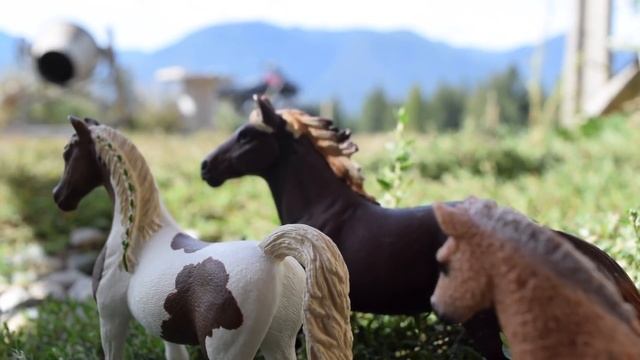 Mustang Mountain Ranch - Part 8 | Schleich Horse Series| смотреть онлайн