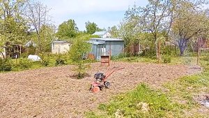 Дача.. Культиватор на целине.. Выравнивание участка..