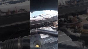 шевролет каптива не заводится.прострй 4месяца.