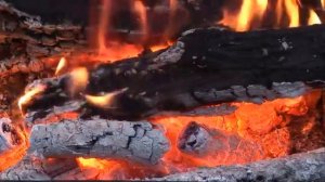 матрица Гаряева антипаразитарная