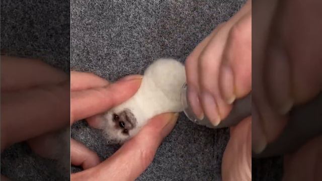 Сухое валяние. Работа обратной иглой. #мастеркласс #сухоеваляние #felting #машинкадляваляния