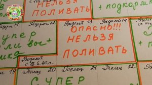 Лунный календарь поливов на май 2020 года. Агропрогноз по поливам и подкормкам растений МАЙ 2020