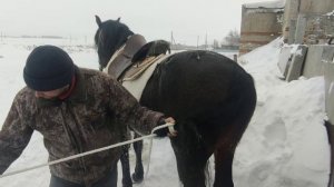 Как выглядит работа табунщика.