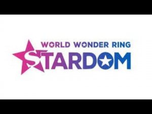 About STARDOM