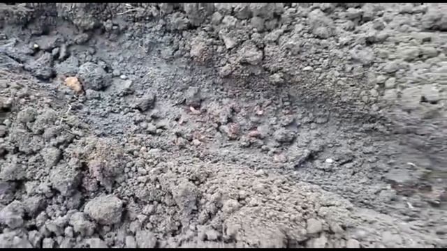 как посадить редис смотреть онлайн