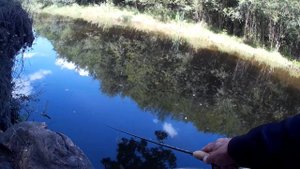 Спиннинг TAIFUN 2020  702ML 3-28 грамм. Работа бланка на твиче и вываживании рыбы.