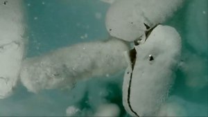 Озвучка видео - Терафлекс