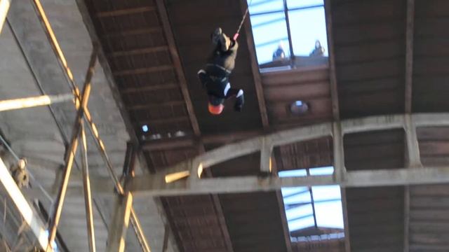 1 прыжок высота 21 метр смотреть онлайн