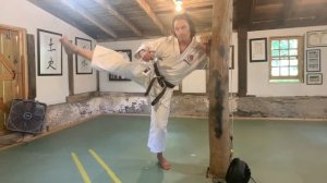 Karate Science: 15 Minutes of Thought #32, Yoko Geri Keage