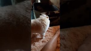 Трек к фильму Рая знает все в нашем исполнении))